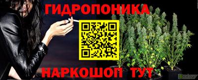 не бодяженный Пушкино