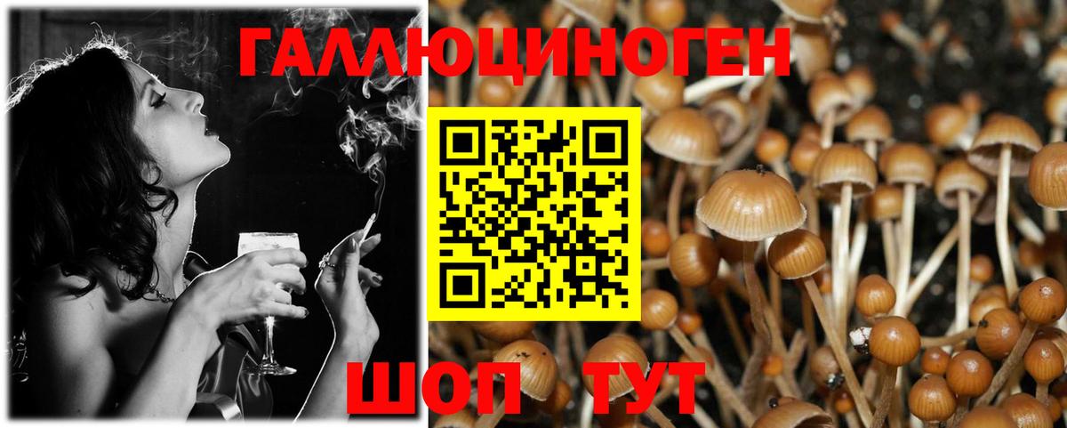 Галлюциногенные грибы GOLDEN TEACHER  Вход с VPN  наркошоп  Серов 